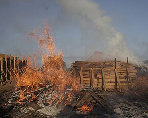 PRESSEMEDDELELSE: Når danskerne griller går regnskoven op i røg