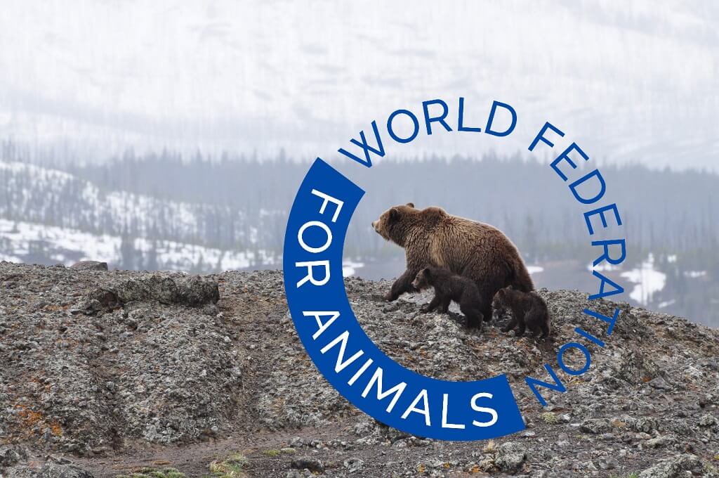 PRESSEMEDDELELSE – Ny verdensomspændende dyrevelfærdsorganisation ser dagens lys