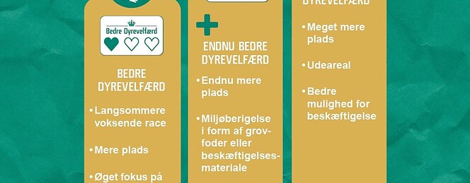 PRESSEMEDDELELSE – Du kan trygt købe kylling med grønne hjerter