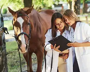 PRESSEMEDDELELSE - A.P. Møller Fonden bag historisk løft af Veterinær- og Landbohøjskole Kollegiet