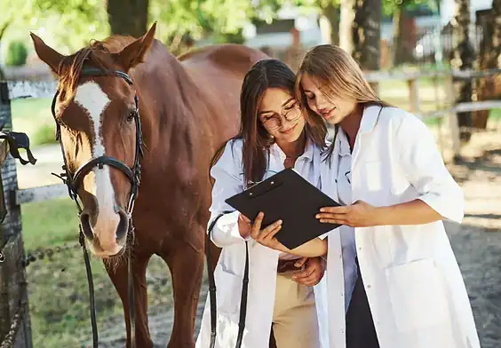PRESSEMEDDELELSE - A.P. Møller Fonden bag historisk løft af Veterinær- og Landbohøjskole Kollegiet