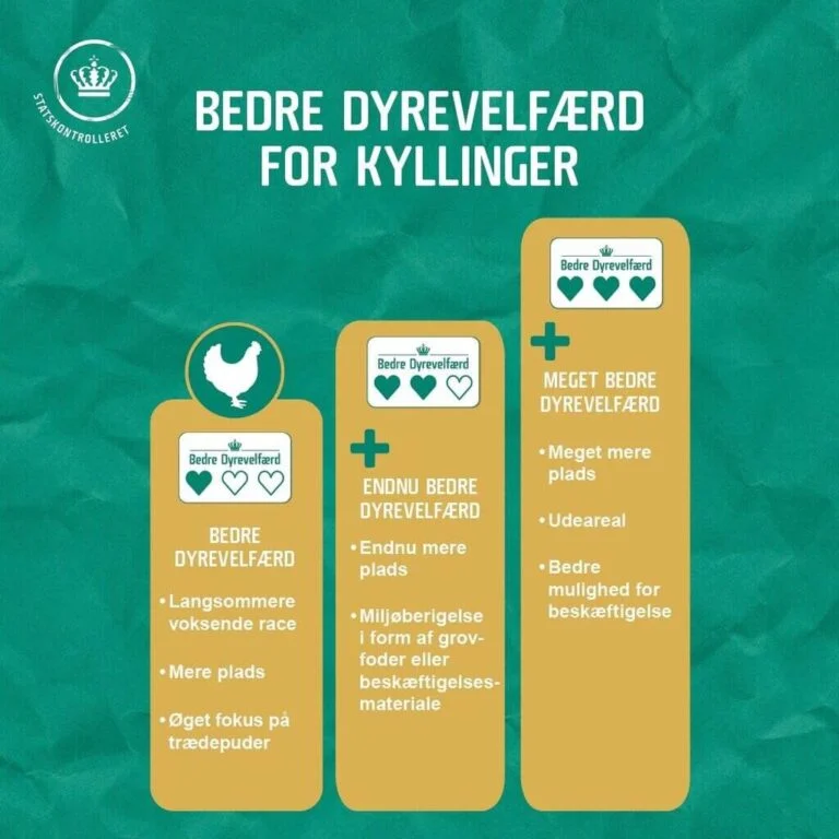 PRESSEMEDDELELSE – Du kan trygt købe kylling med grønne hjerter