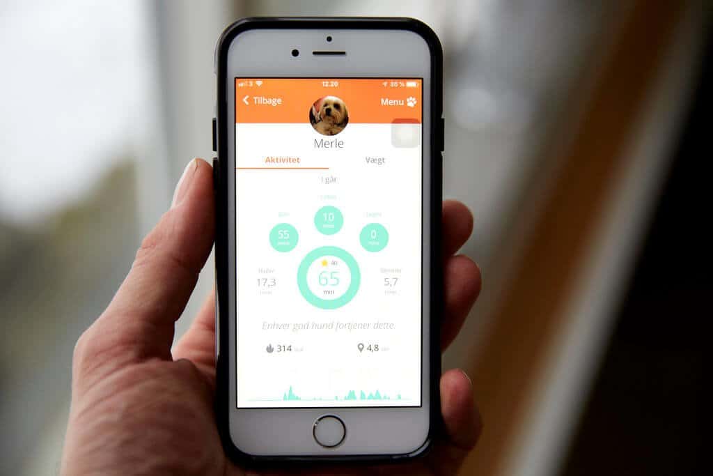 PRESSEMEDDELELSE: Nyt smartwatch til hunde øger livskvaliteten for både kæledyr og ejer PRESSEMEDDELELSE: Nyt smartwatch til hunde øger livskvaliteten for både kæledyr og ejer