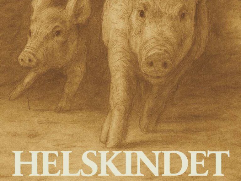 PRESSEMEDDELELSE - HELSKINDET af Rie Treumer Feilberg udkommer 4. september 2026