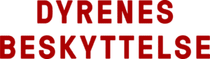 Dyrenes Beskyttelse